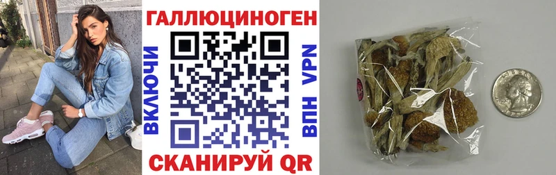 Псилоцибиновые грибы ЛСД  Купить где  Камень-на-Оби 